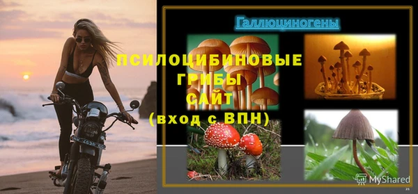 Альфа ПВП Беломорск