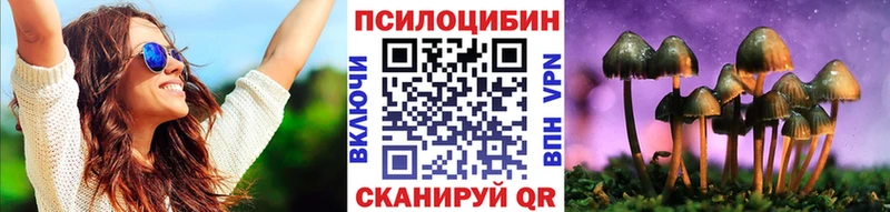 Псилоцибиновые грибы мухоморы  купить наркоту  Бологое 