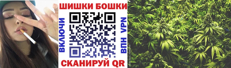 Конопля индика  Бологое 
